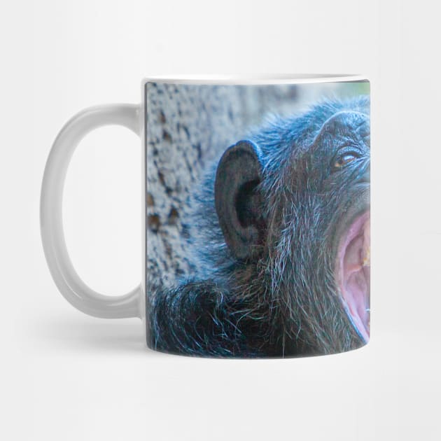 Chimpanzee laugh by dalyndigaital2@gmail.com